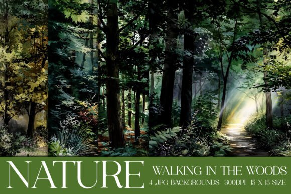 Download Walk in the Woods Nature Backgrounds, S2 - Woods Collection